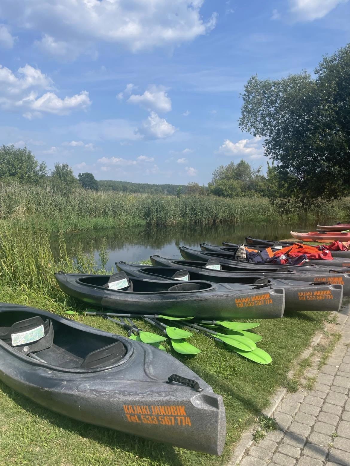 368004663_153330731144434_3945369177913174182_n