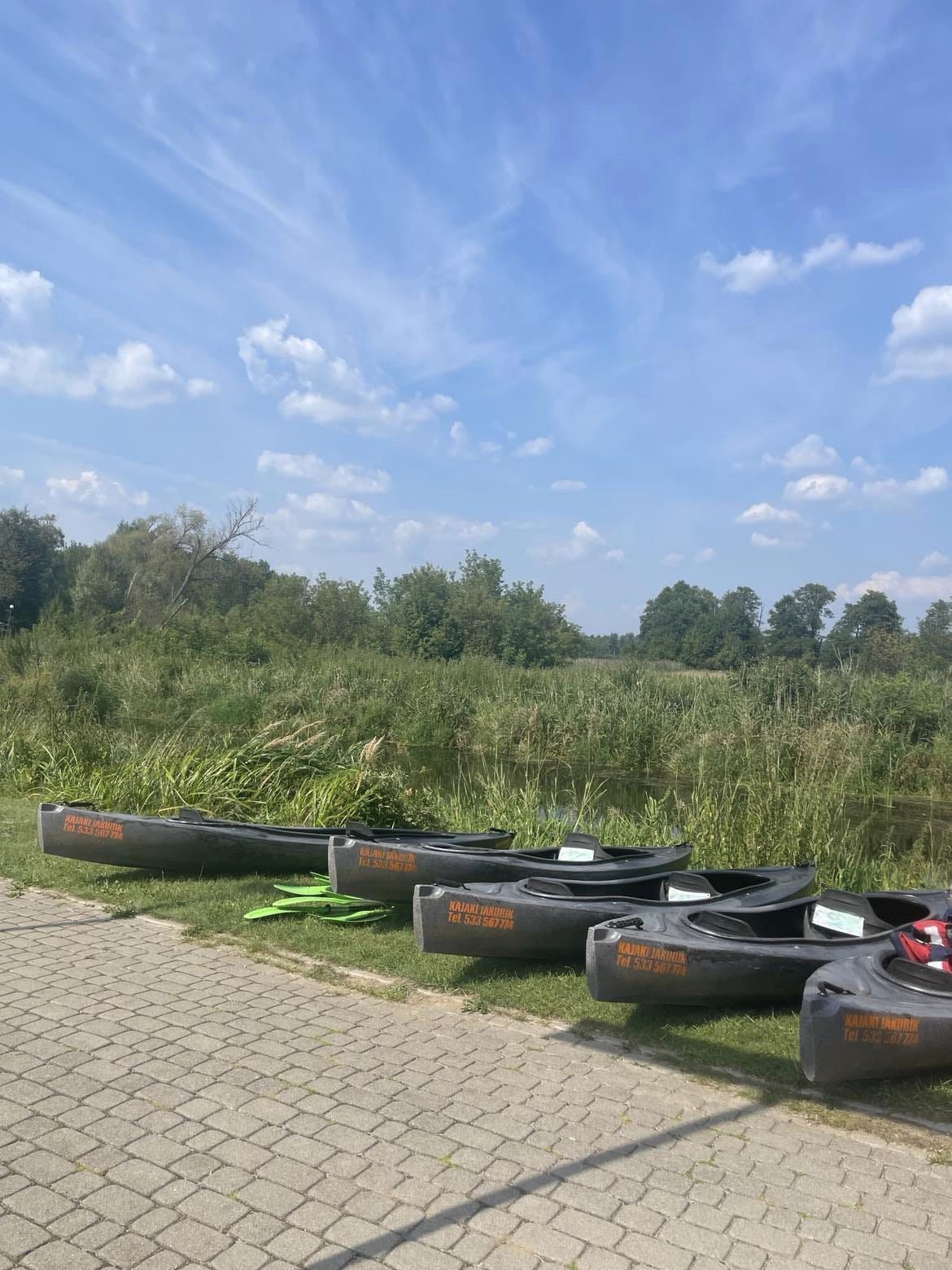 368018979_153330854477755_6353679264529378043_n